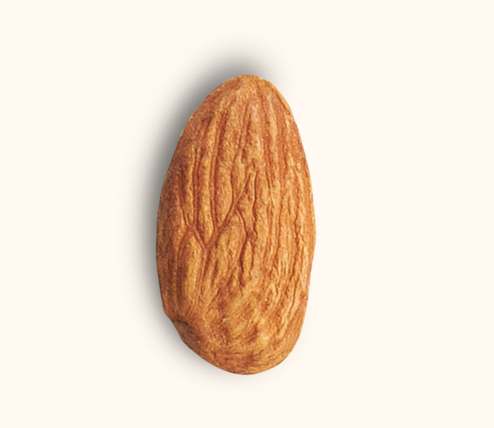 Roasted
Nuts