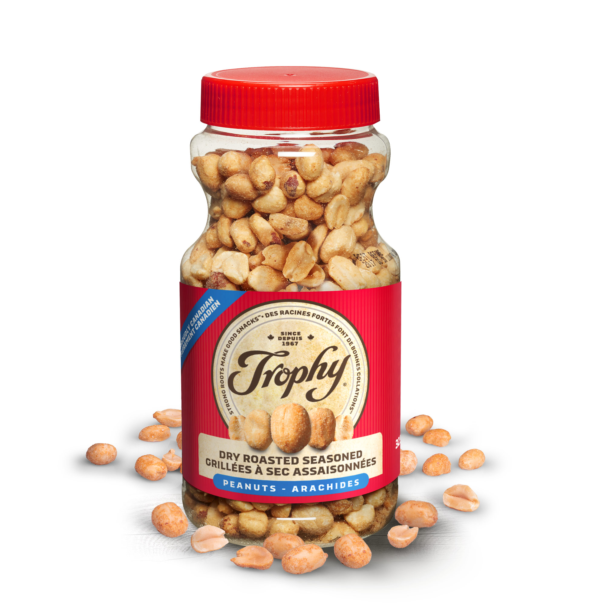 Dry Roasted Seasoned Peanuts